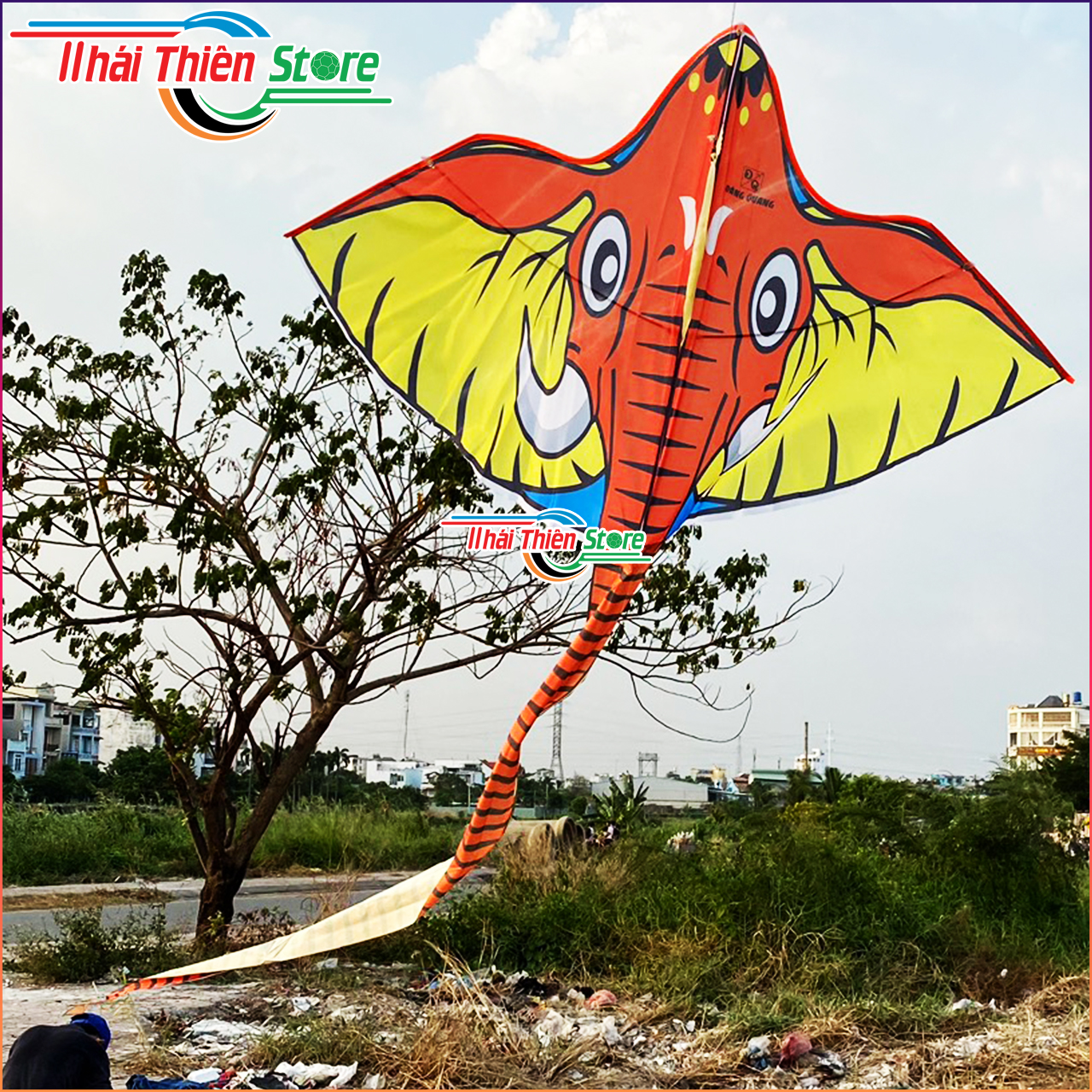 Diều Voi Đại Đăng Quang