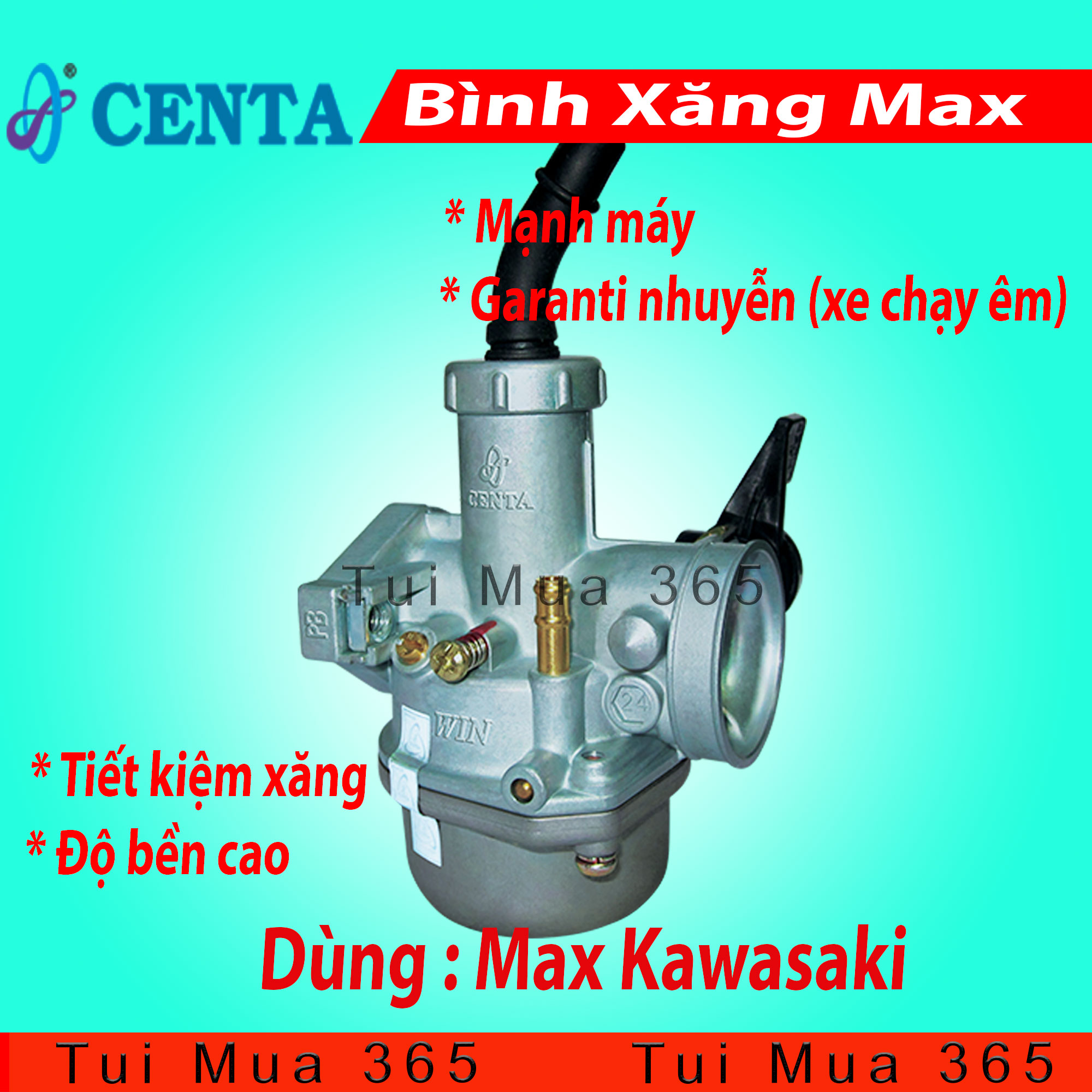 Bình xăng con Centa xe Max Kawasaki, Max Nhật