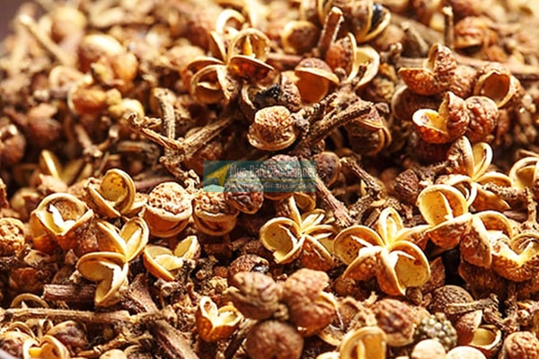 100g Hạt mắc khén - Tiêu rừng - linh hồn gia vị Tây bắc làm gia vị nướng hoặc chẩm chéo