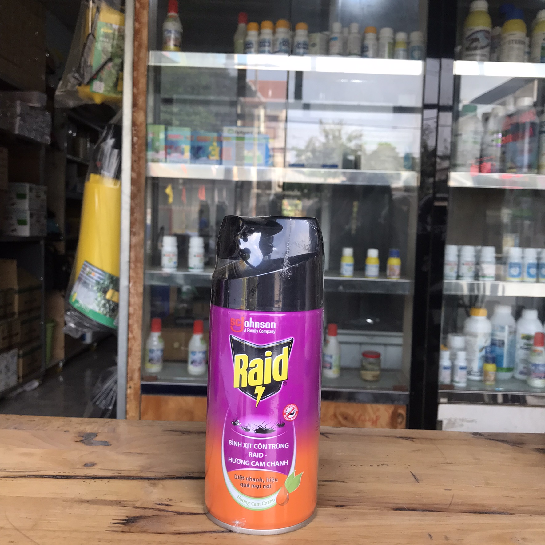 Bình xịt muỗi và côn trùng Raid (Chai 300ml) hương ngẫu nhiên