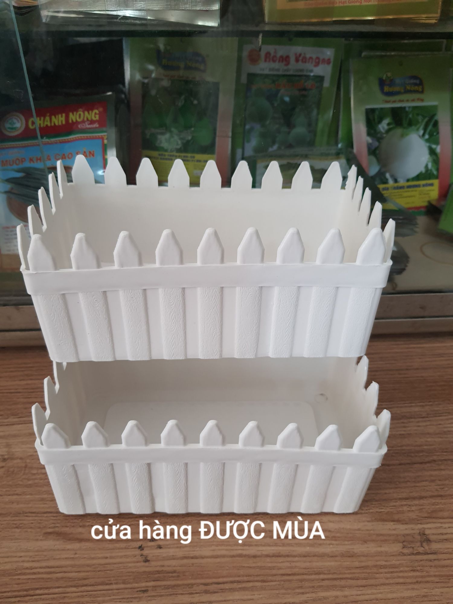 combo 2 chậu hàng rào dài 20cm