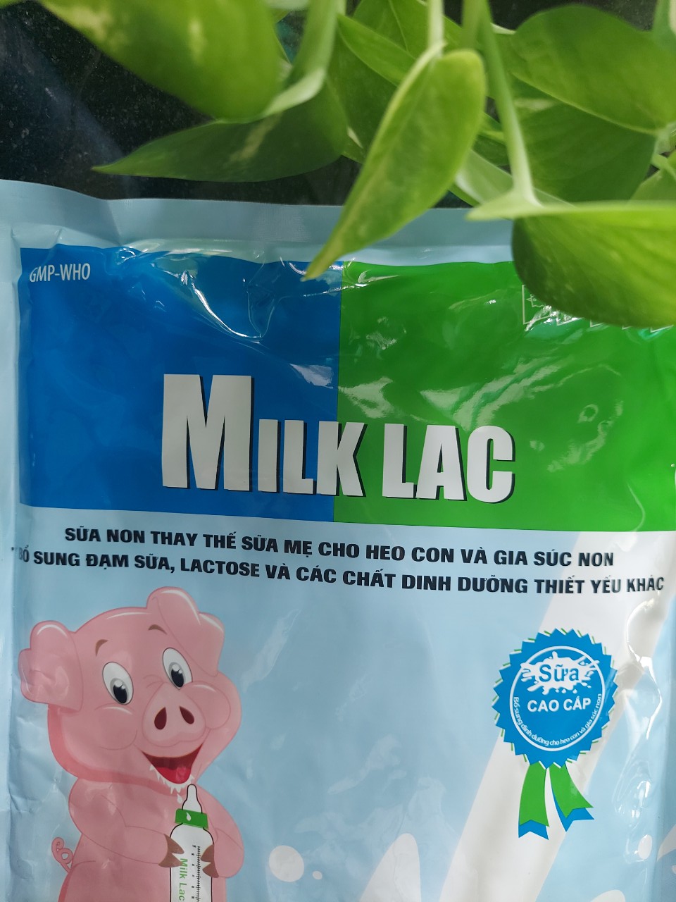 MILK LAC 0.5KG (SỮA NON CHO THÚ SƠ SINH)