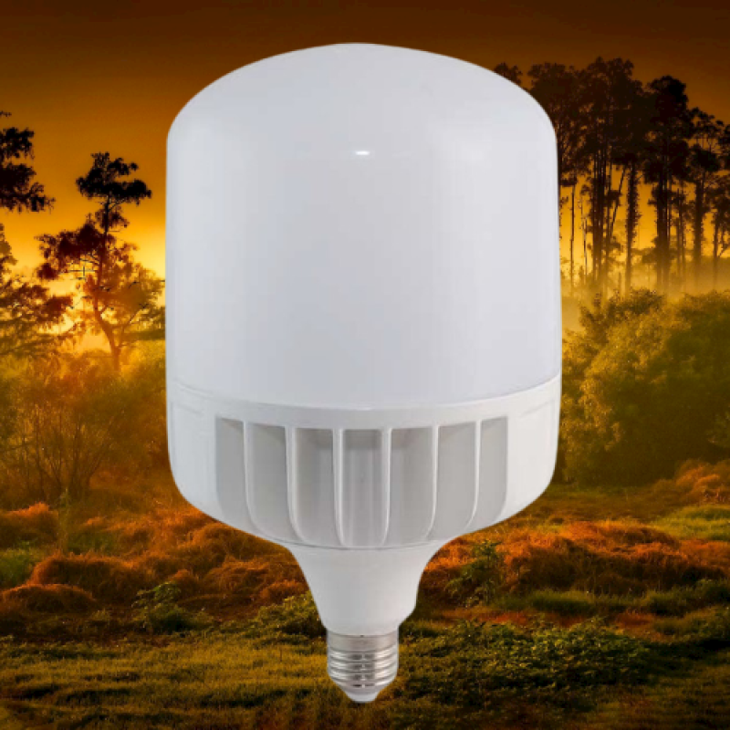 Bóng đèn led siêu sáng ĐIỆN QUANG loại 40w ánh sáng trắng siêu tiết kiệm điện. chống cháy nổ, có thể dùng ngoài trời mưa, chống va đập mạnh, chùm tia sáng 360 độ tuổi thọ bóng lên đến 80000h ( loại bóng đèn màu trắng)