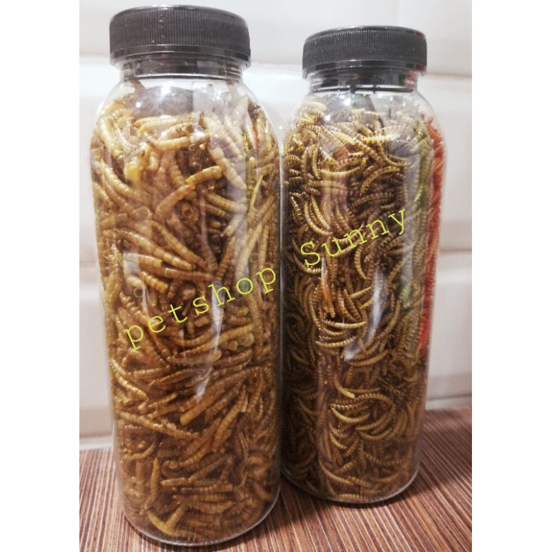 Chai Sâu Sấy 330Ml Cho Hamster, Sóc, Nhím