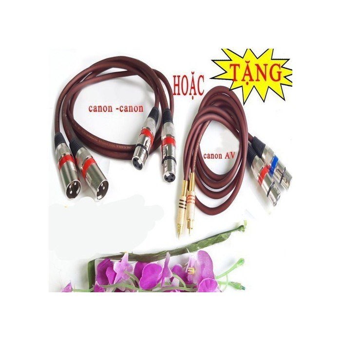 Lọc xì DBX 231 cao cấp-tặng dây