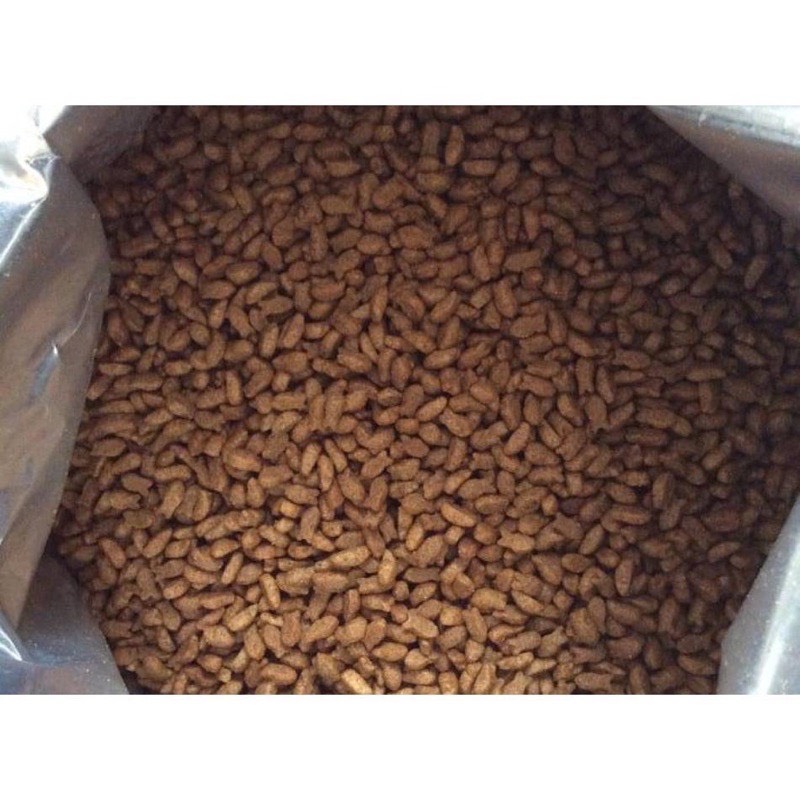 Thức ăn hạt khô Cateye Catseye cho mèo mọi lứa tuổi (Bao 13,5kg)
