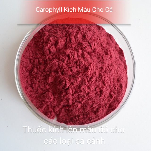 Carophyll kích màu đỏ cho các loại cá có thể trộn đồ tươi cho cá cảnh cam kết hàng đúng mô tả chất lượng đảm bảo