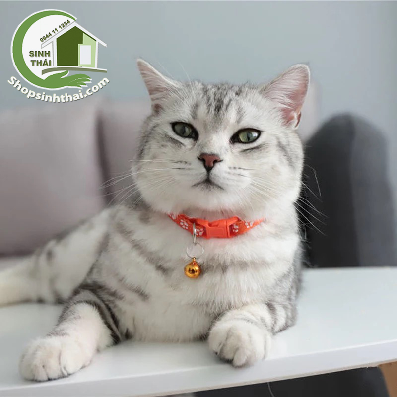 22+ Địa chỉ Làm PetTag Dây chuyền Thẻ Tên cho Thú Cưng Giá Cực Rẻ