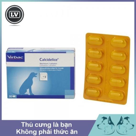 1 Vỉ Canxi cho chó Phospho Flouride Vitamin D3 Calcidelice Virbac Phụ kiện Long Vũ