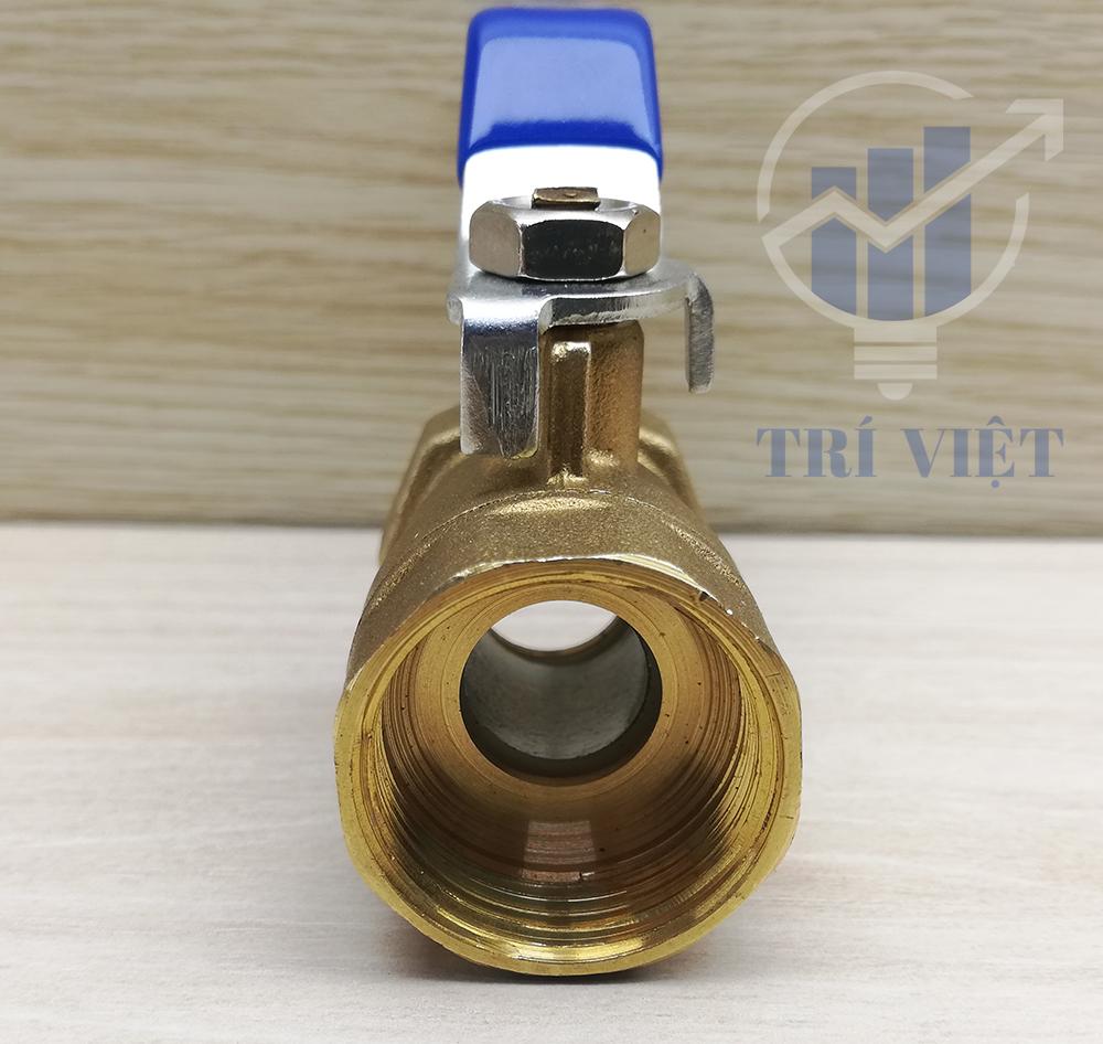 [HCM]Van Bi Thân Đồng Phi 21 ( SANO)