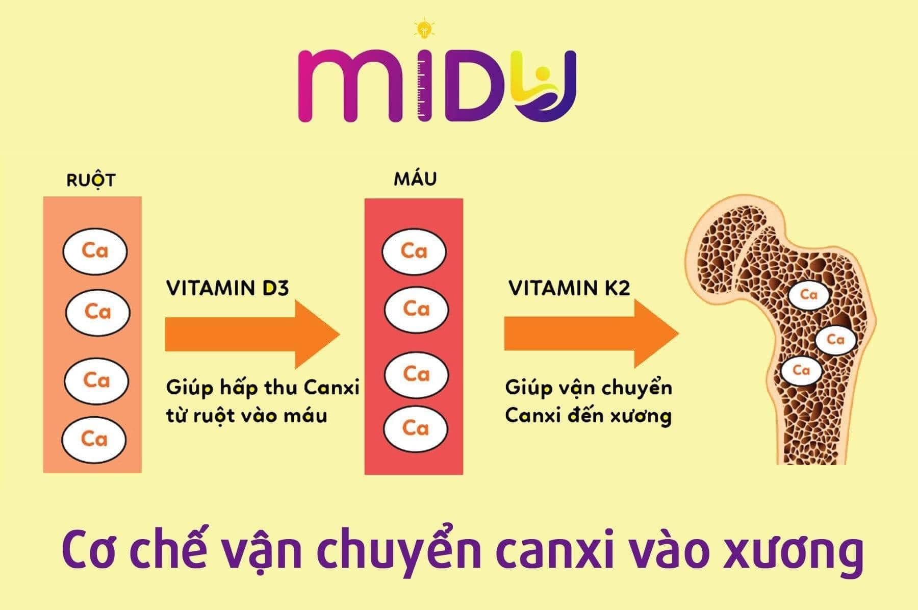 Thực phẩm bổ sung canxi Phát Triển Chiều Cao MIDU Mena Q7 180mg kết hợp cùng Vitamin D3 và Q7 hàm lượng cao
