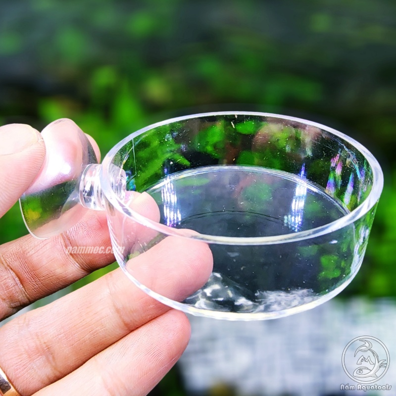 Chén Tép Acrylic - Chén Đựng Thức Ăn Cá Tép Cảnh