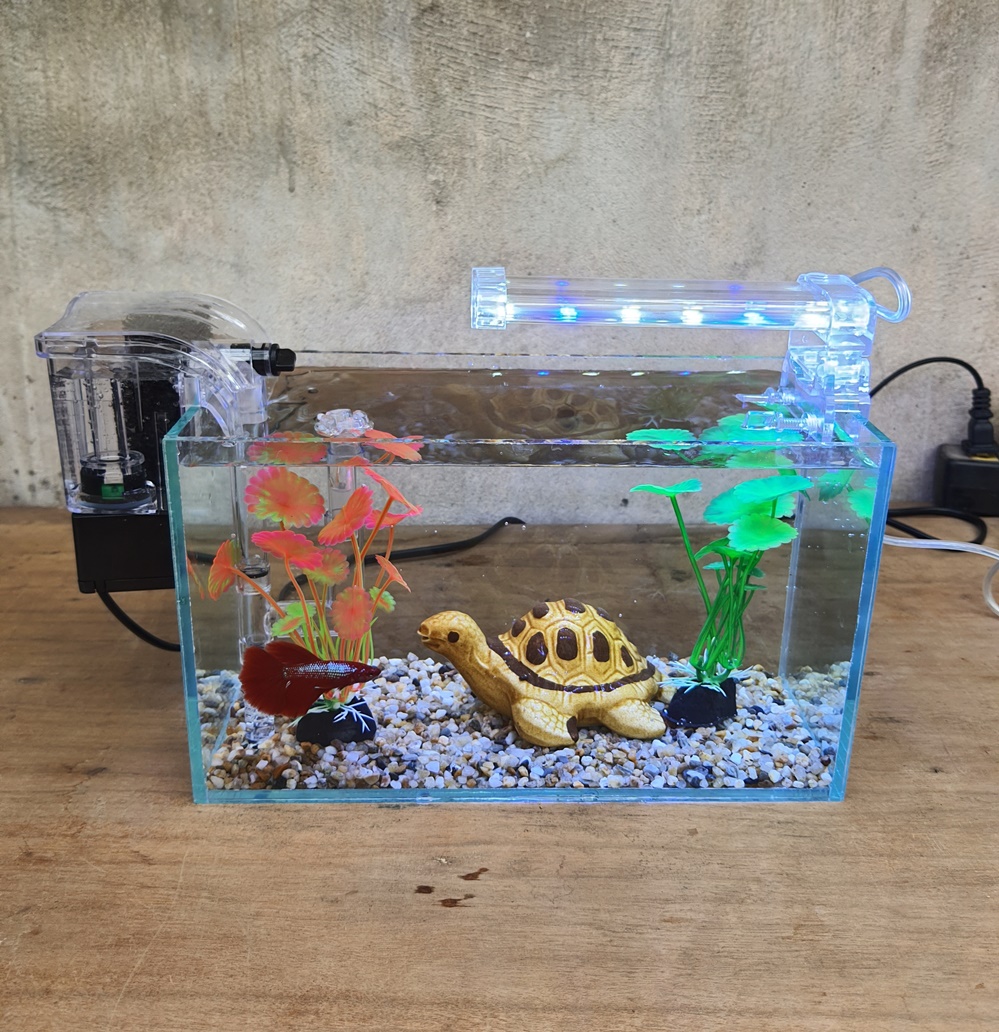 Bể cá mini 24 cm với 5 món (bể 24, sỏi nền, máy lọc, 2 cây nhựa mini, pk nhỏ)