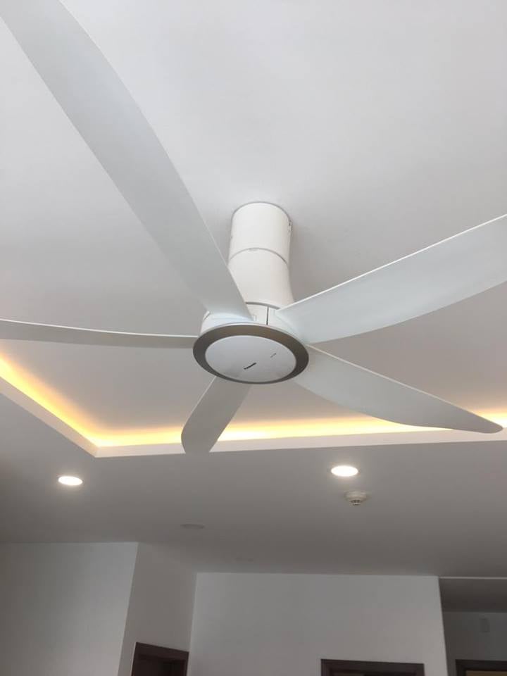 [ Hình thực tế, Bảo hành hãng 12 tháng] Quạt trần Panasonic 5 cánh F-60TDN
