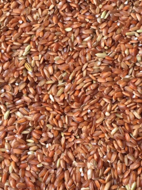 GẠO LỨT ĐỎ ĐIỆN BIÊN (Túi 1kg rút chân không)