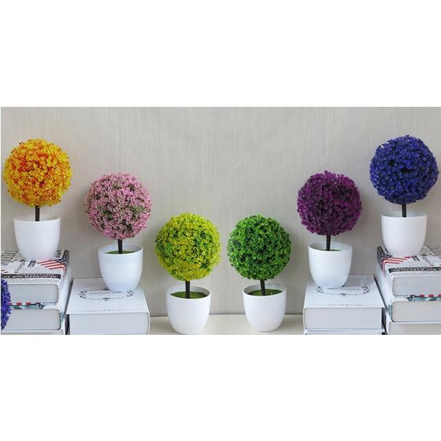 Chậu Hoa Cẩm Tú Cầu (Chậu Lẻ)