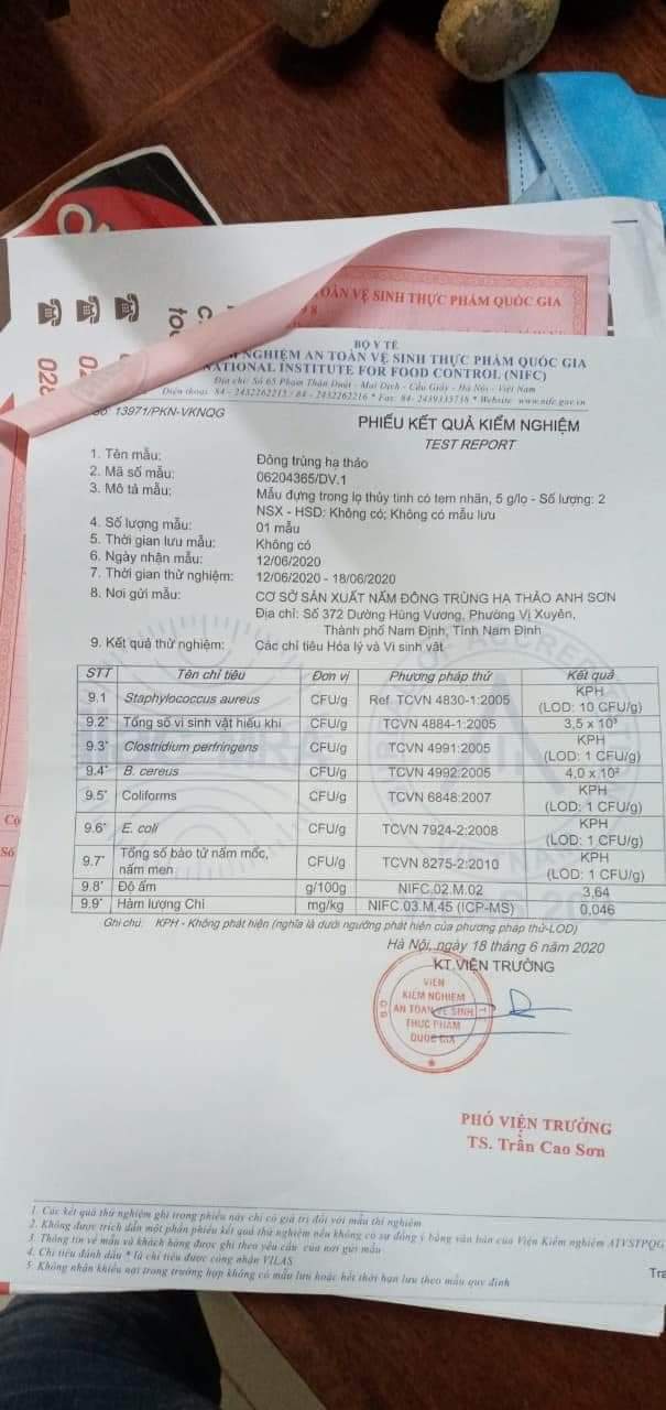 Đông trùng hạ thảo khô ( đóng hộp 10g)