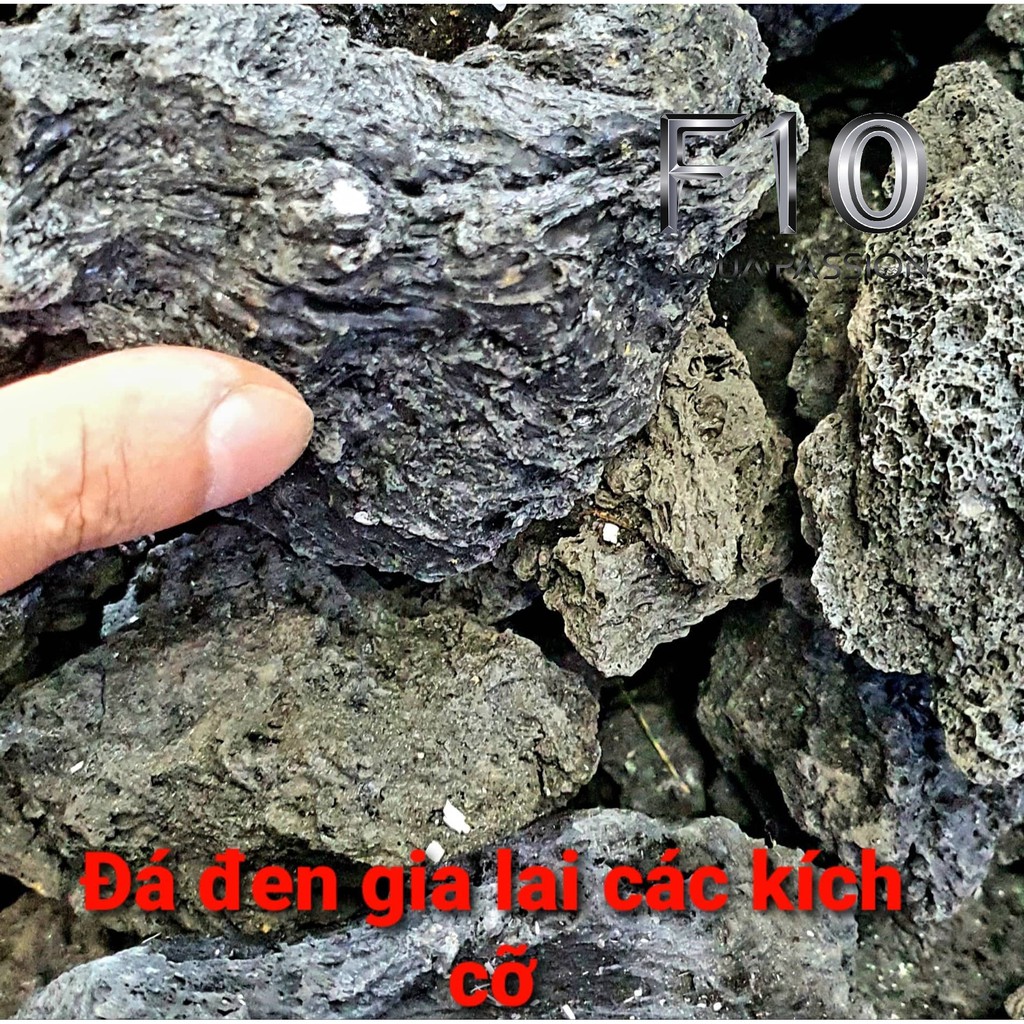 Đá Đen Gia Lai ( 500G ) Đá Chuyên Setup Bể Thuỷ Sinh rất đẹp
