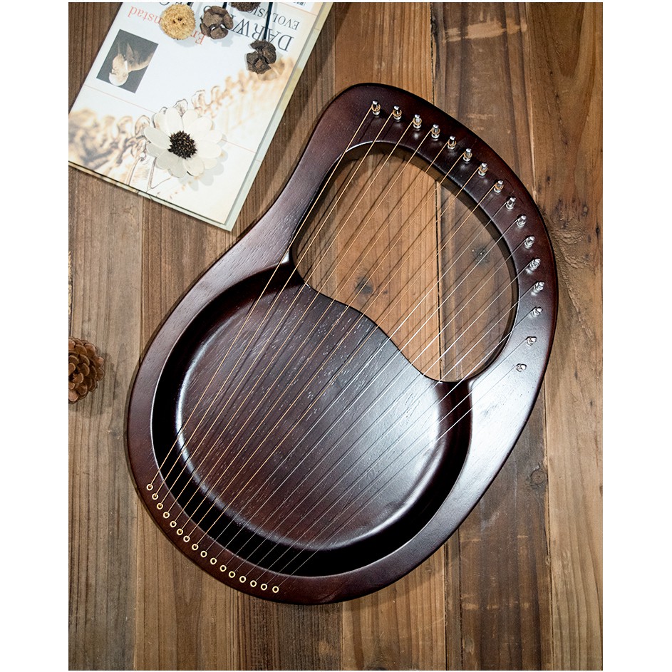 Đàn Lyre 16 dây Harp IM0001258-MOLIN Nhiều màu