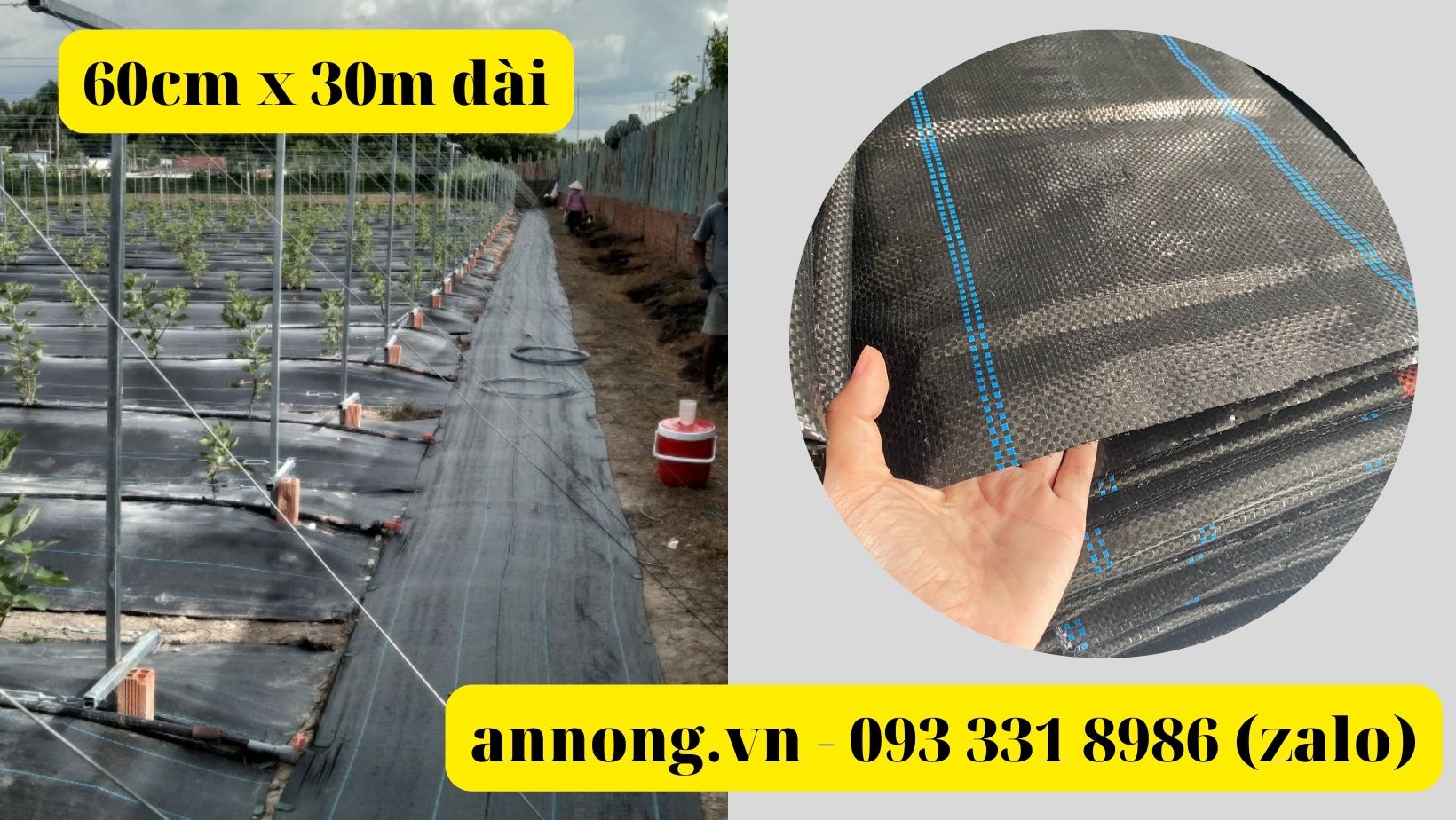 Bạt phủ luống chống cỏ 60cm x 30m dài 120g/m2 (kèm 30 ghim/tấm)