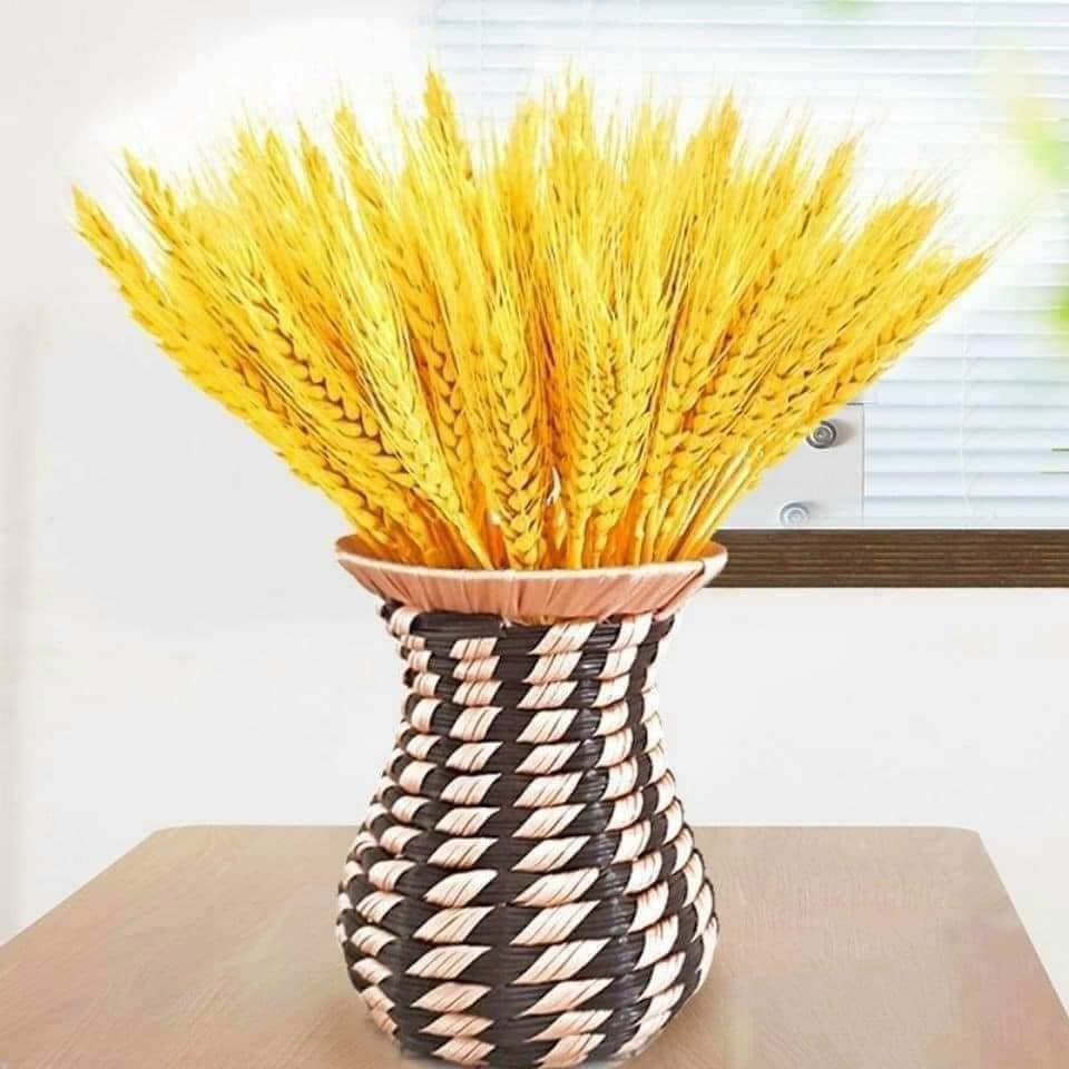 Bông Lúa Mạch Khô Decor Trang Trí Sét 100 bông