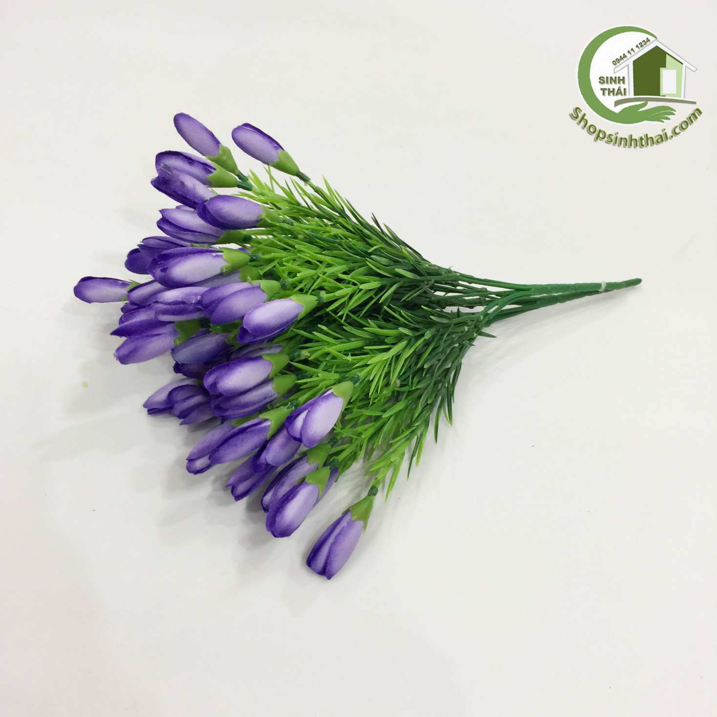 [HCM]Bụi Hoa Tulip Nhí Màu Tím