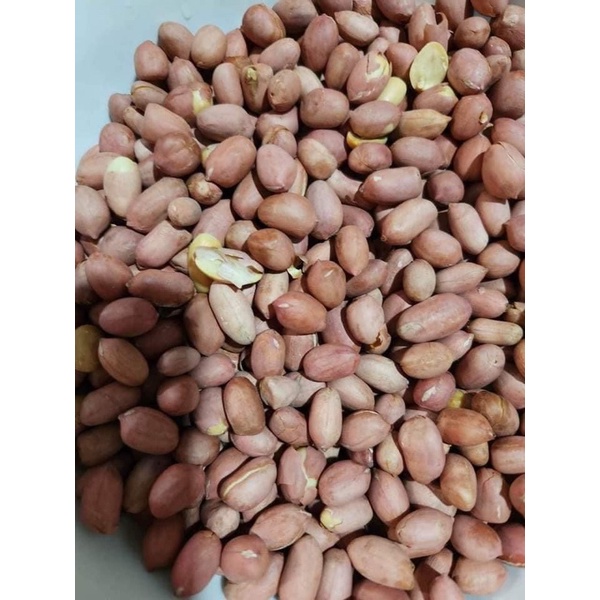 1kg Lạc Rang Húng Lìu Hạt to chắc mẩy