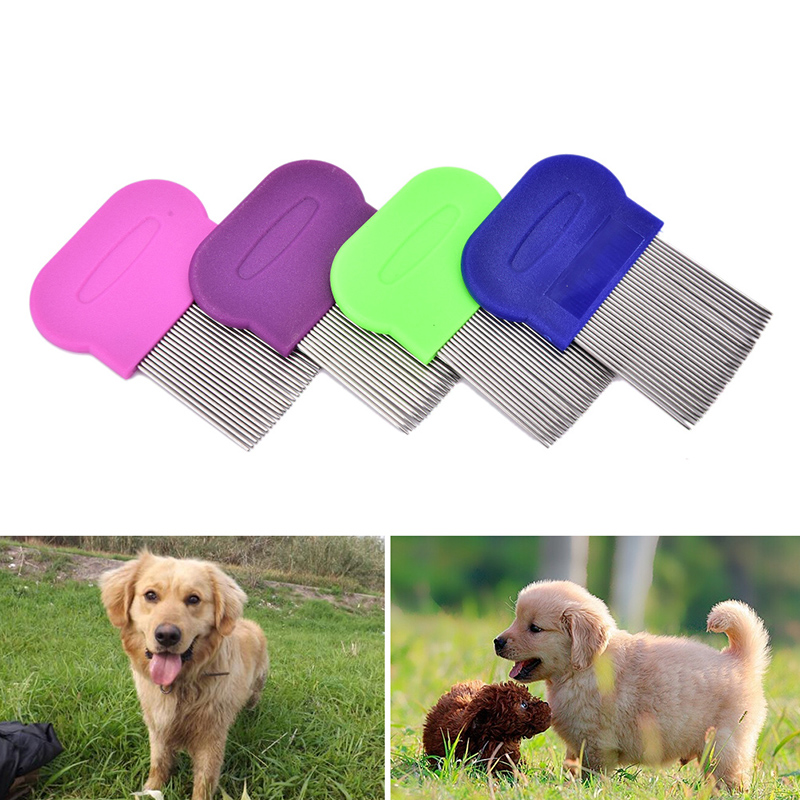 INBdvT2Z Lược chải bọ chét anoplura mới lược chải chấy bằng thép không gỉ cho trẻ em Lược bọ chét