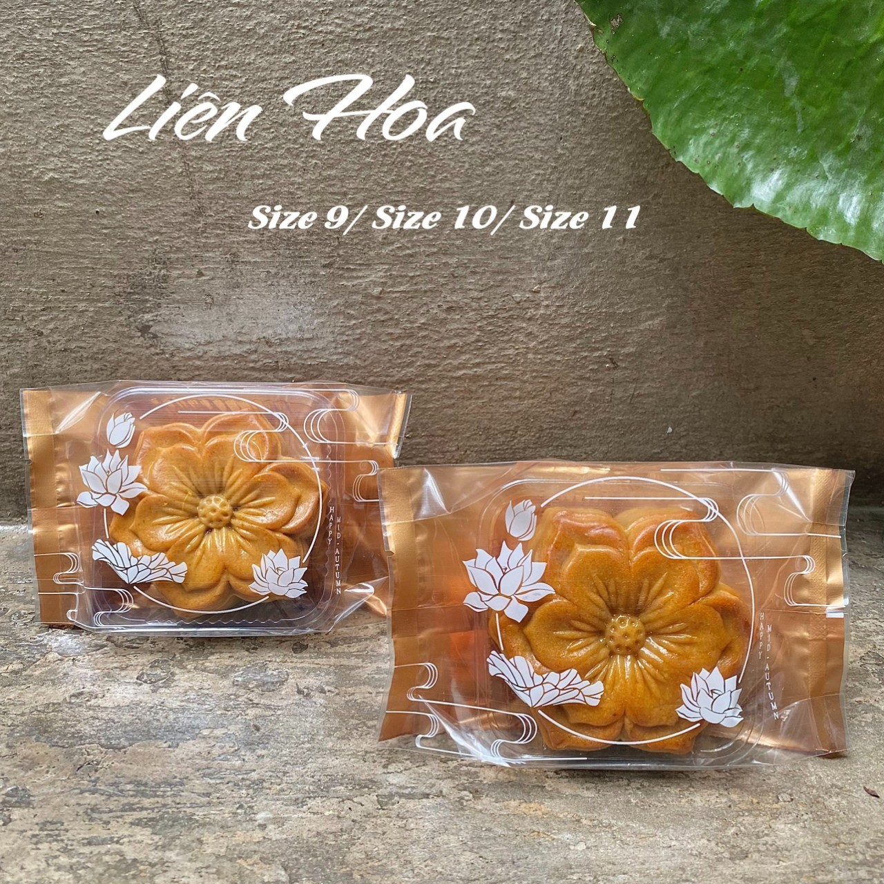 SET100 Khay / túi hàn trung thu 150g ( khay, túi bán riêng)