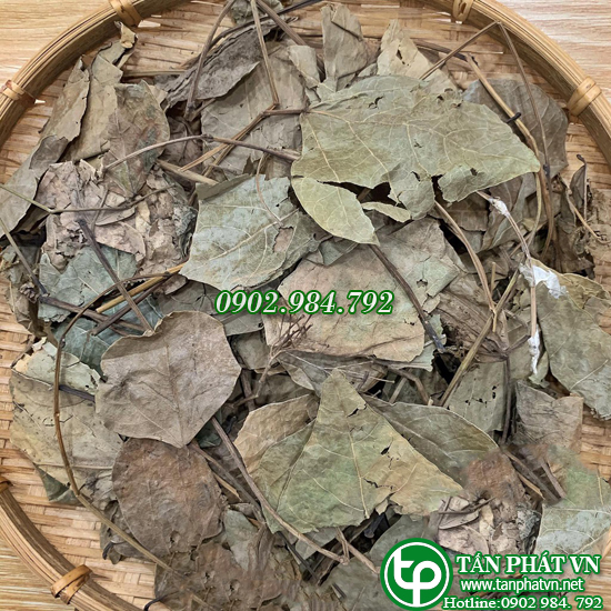 Premium Dried Vong Nem Leaf Tea 500g - Tan Phat Herbal Medicine