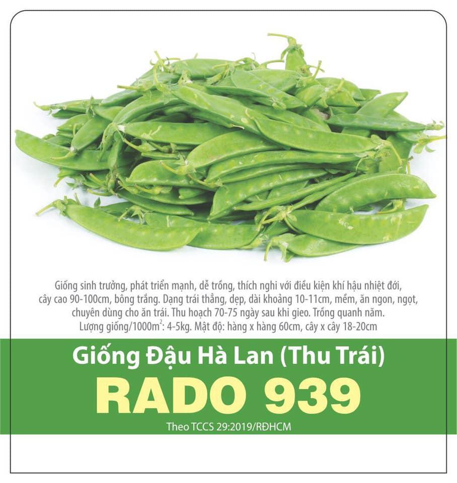 Hạt giống đậu hà lan thu trái năng suất cao 20gr