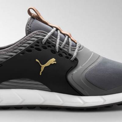 [HCM]Giày Puma IGNITE PWRSport