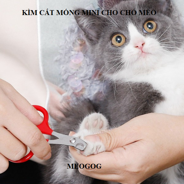 Kéo Kìm Cắt Móng Mini Chó Mèo, kìm bấm móng cho thú cưng MEOGOG