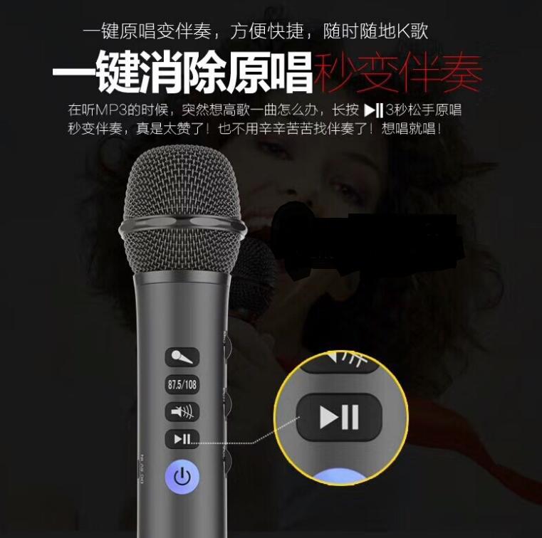 Míc hát karaoke L698