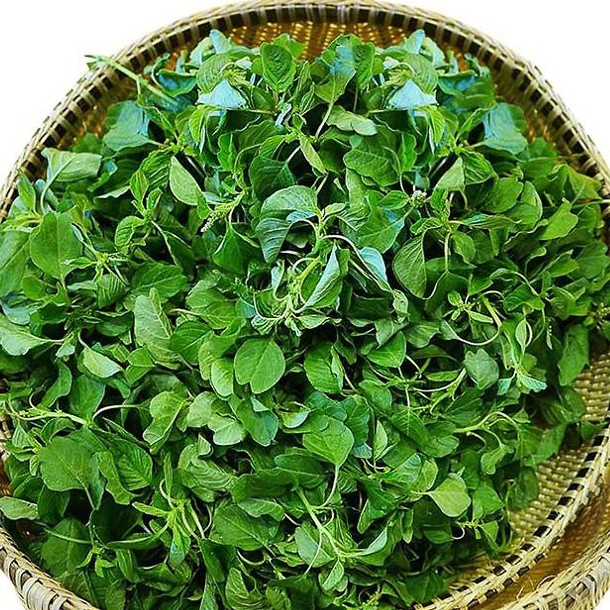 [HCM][Rau Củ Quả] - Gói 10gr hạt giống rau dền cơm