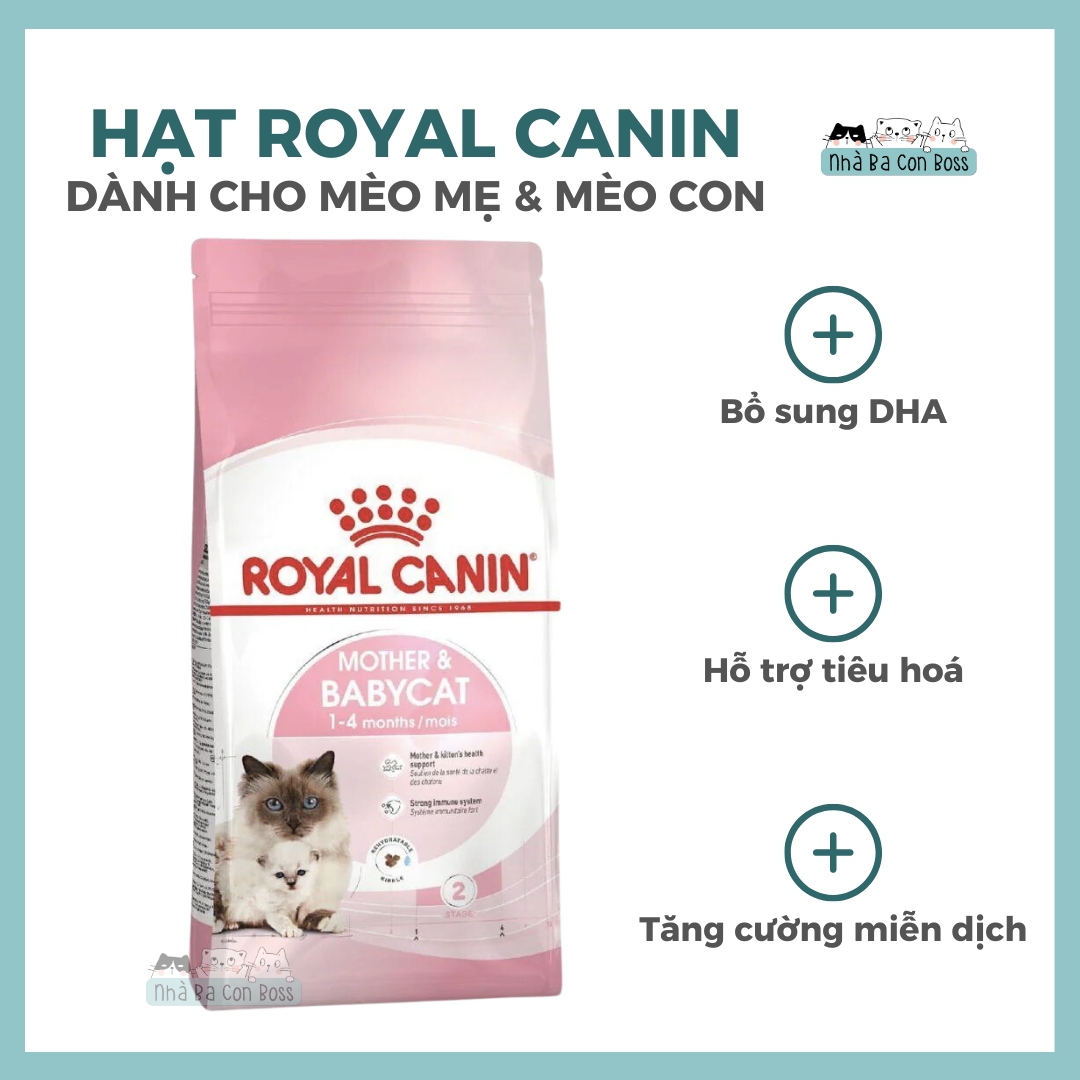 [400g/2kg/4kg] Hạt Cho Mèo Royal Canin Mother & Baby