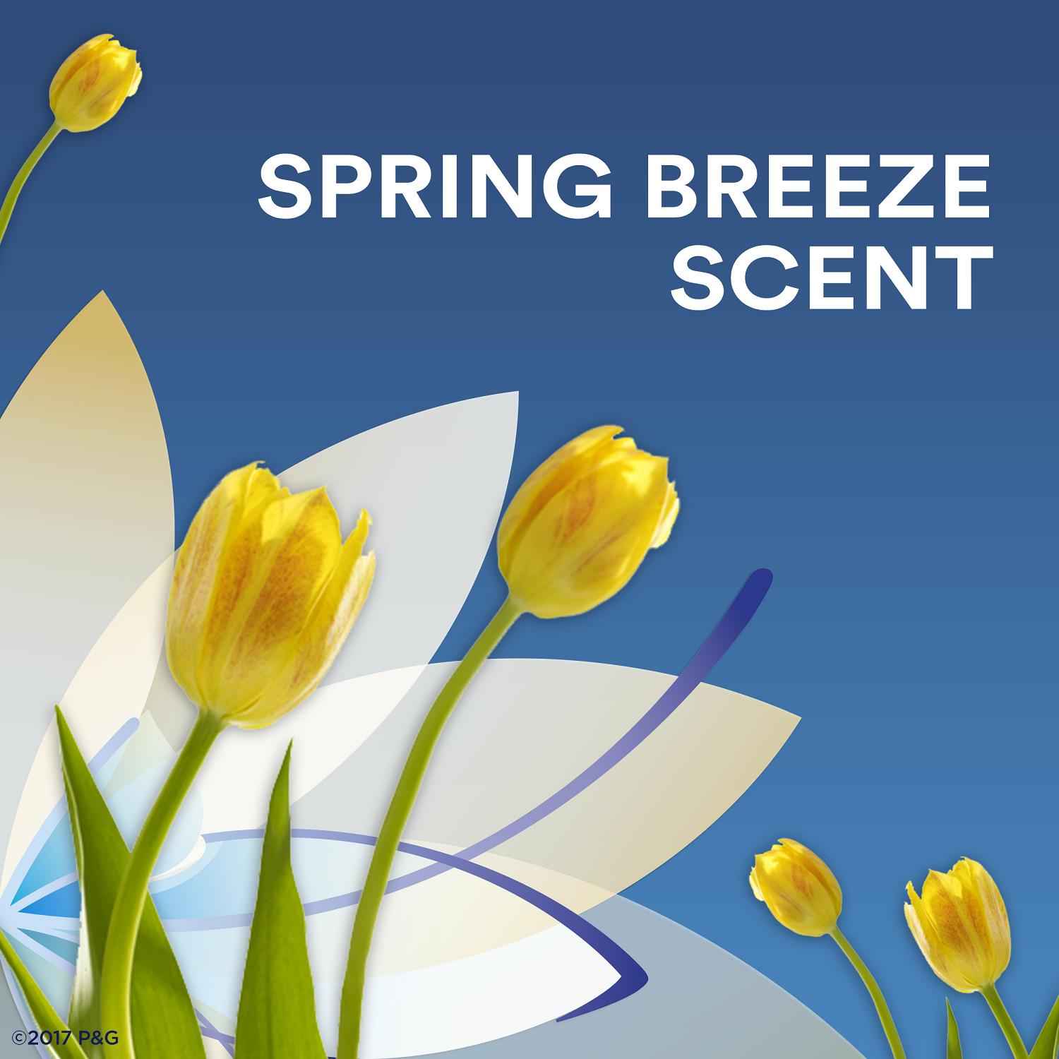 Lăn Khử Mùi Secret Invisible Solid Ph Blanced 73g # Spring Breeze