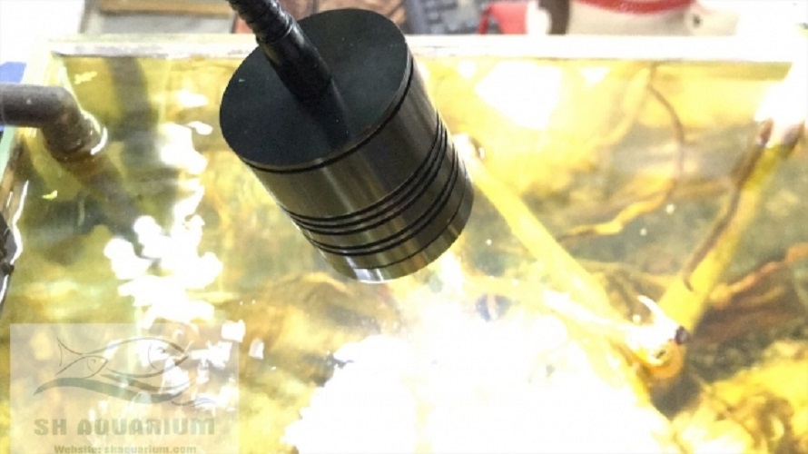 Đèn led rọi 3w kẹp thành bể