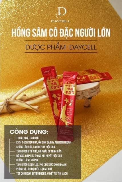 HỒNG SÂM NGƯỜI LỚN