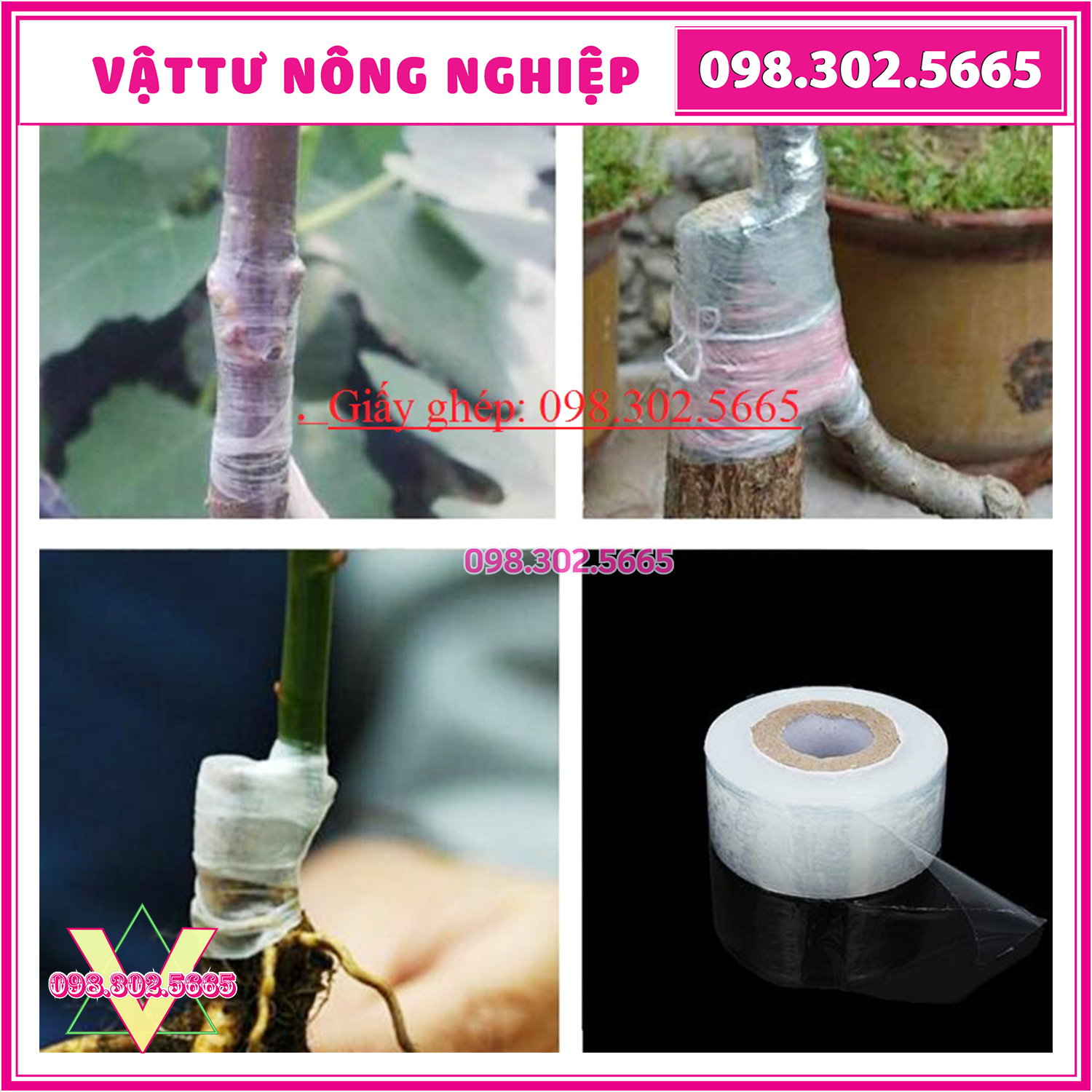 Giấy ghép cây nilong tự hủy - khổ 3cm