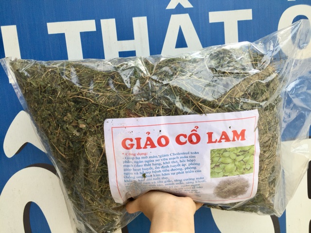 Giảo Cổ Lam 5 lá Hoà Bình -Đặc sản Hòa Bình 28