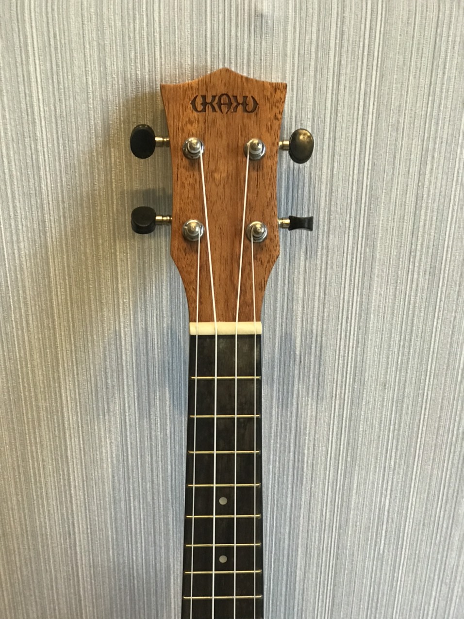 Đàn Ukulele concert Ukaku C10F Cao cấp
