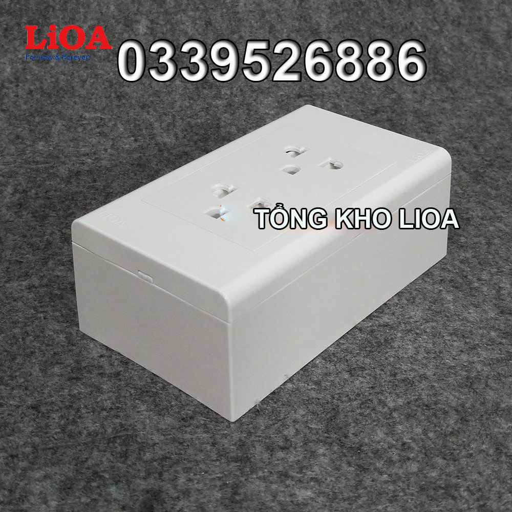 Combo ổ cắm điện đôi 3 chấu 16A LiOA (3520W) - Lắp nổi