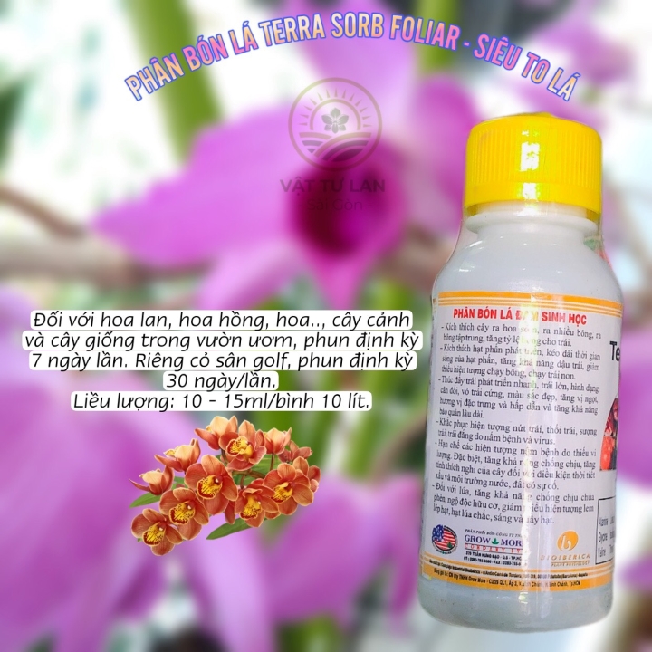 Terra sorb Siêu to lá chai 100ml