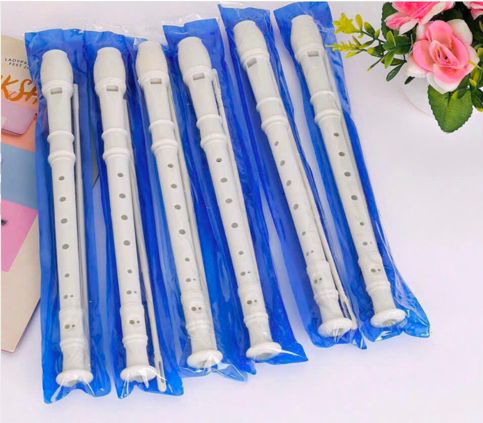 Sáo nhựa Recorder cho học sinh tập thổi (Có Túi +Que Vệ Sinh)