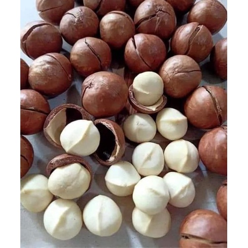500 GRAM HẠT MACCA DAKLAK NỨT VỎ SẤY CHÍN