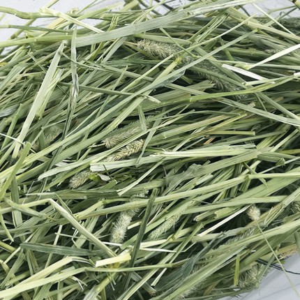Cỏ khô dành cho thỏ bọ 2KG