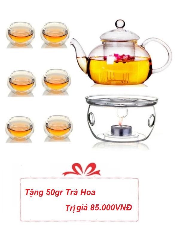 Bộ ấm chén pha trà thuỷ tinh Zeno SET07 + Tặng trà hoa nhài khô