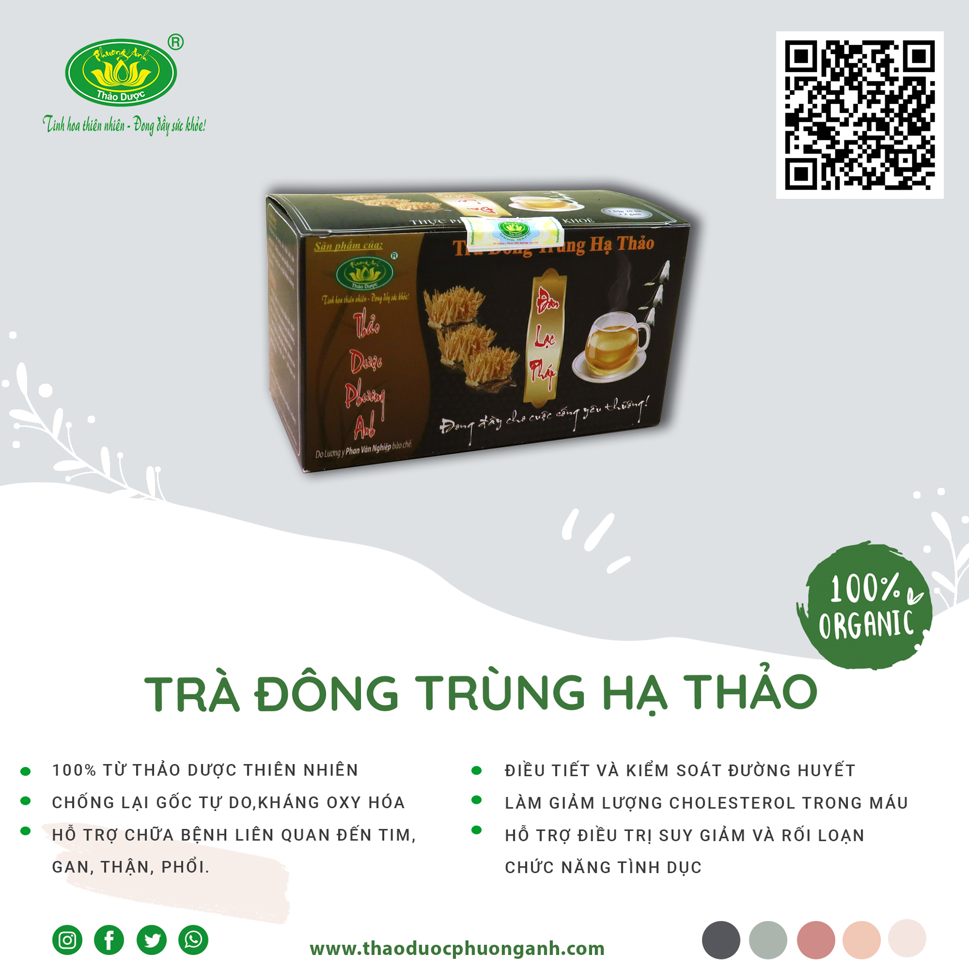 Trà Đông Trùng Hạ Thảo Túi Lọc (Hộp 20 túi lọc)