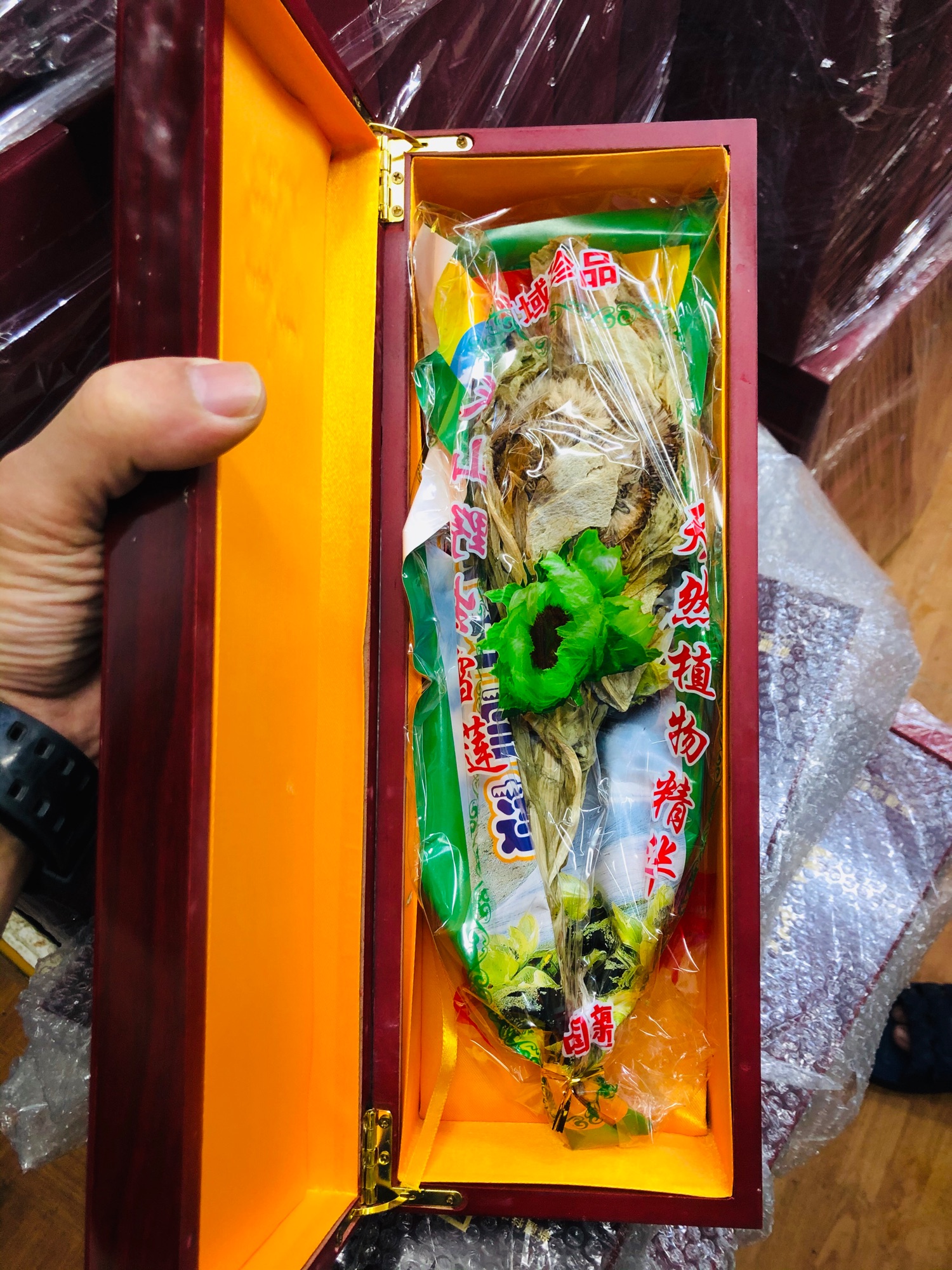 Hoa Thiên Sơn Tuyết Liên